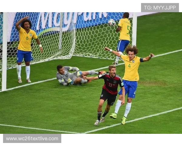 最新世界杯球队排名榜前十名公布，深入解析排名背后的关键因素与未来走势